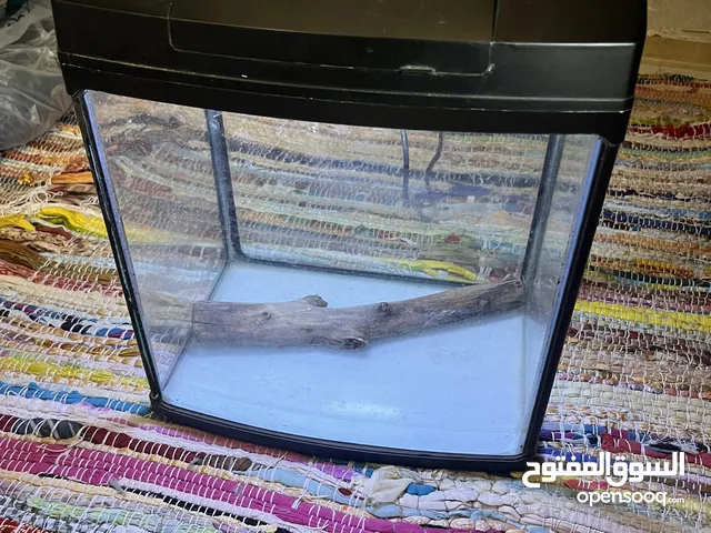 Fish Tank Great condition