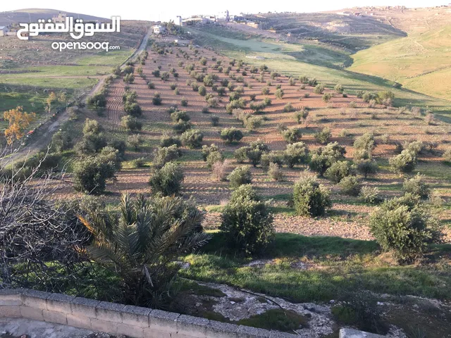 More than 6 bedrooms Farms for Sale in Zarqa Graisa