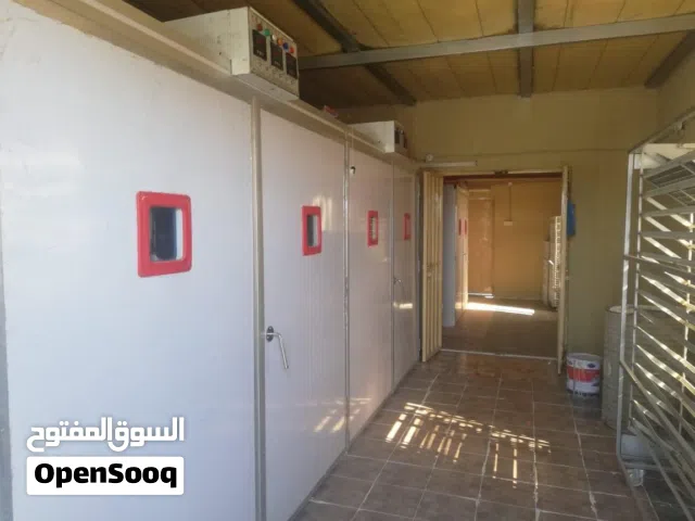 مطلوب شريك أو ممول