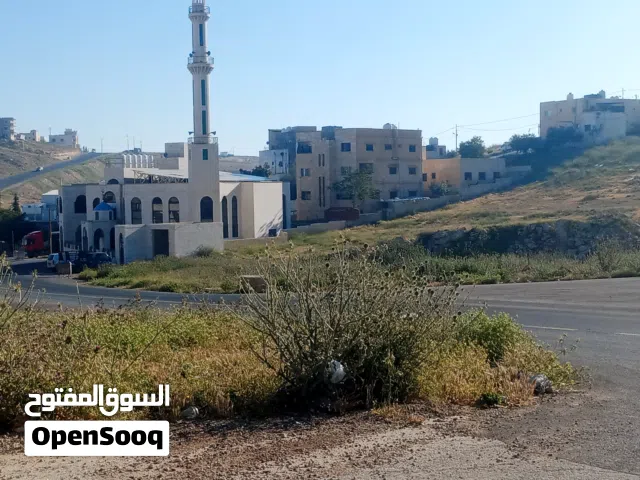 Residential Land for Sale in Amman Abu Alanda