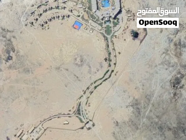 Commercial Land for Sale in Dhofar Mirbat