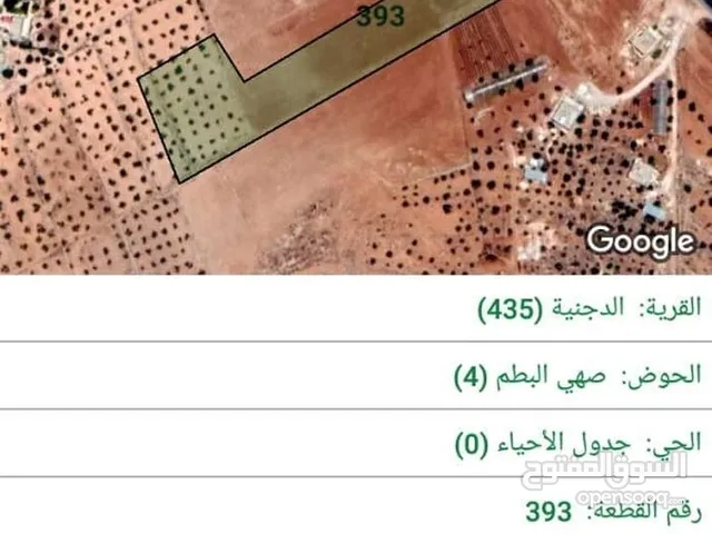 Farm Land for Sale in Mafraq Al-Dajaniya