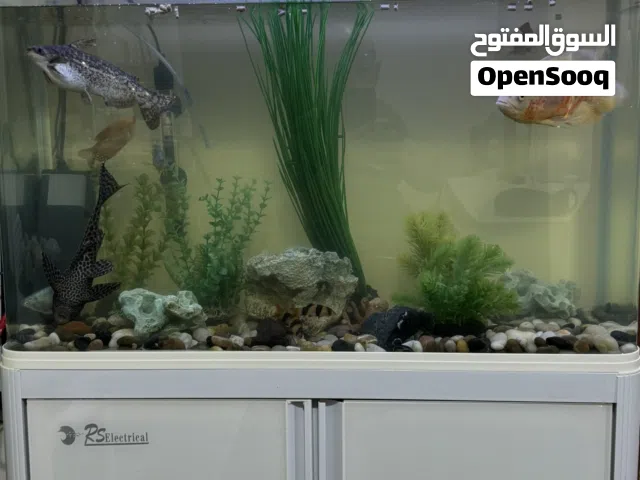 حوض سمك مع كامل الاغراض مع 9 أسماك