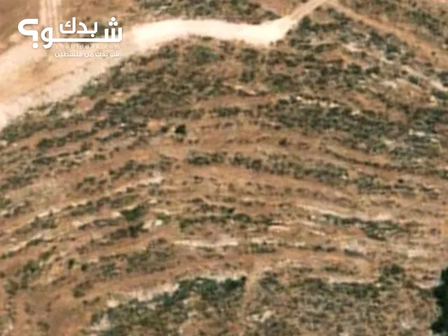 Mixed Use Land for Sale in Hebron Dura