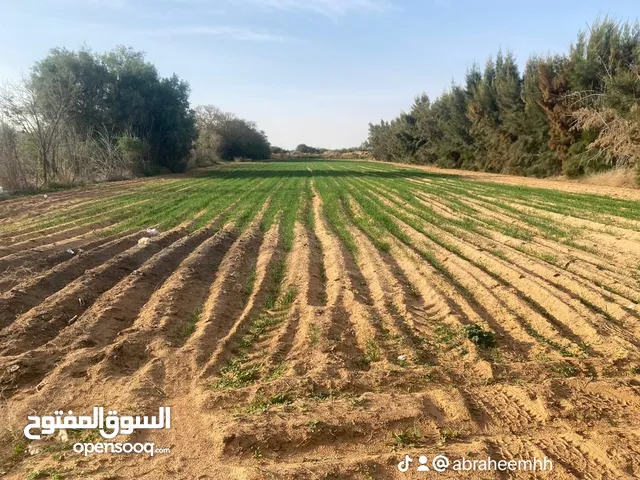 Farm Land for Sale in Misrata Tamina
