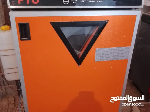 كتكوت رود الامريكي