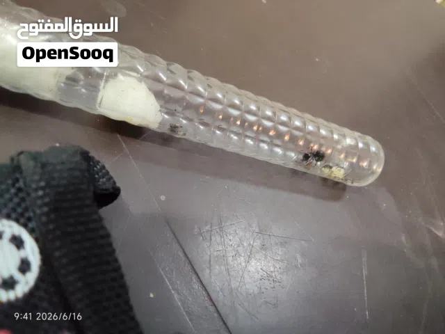 نمل. نجار للبيع