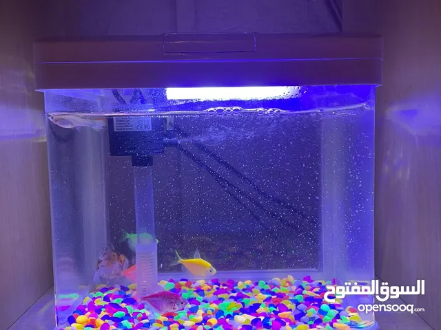 Small Fish Aquarium for sell