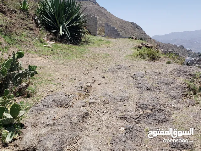 ارض للبيع
