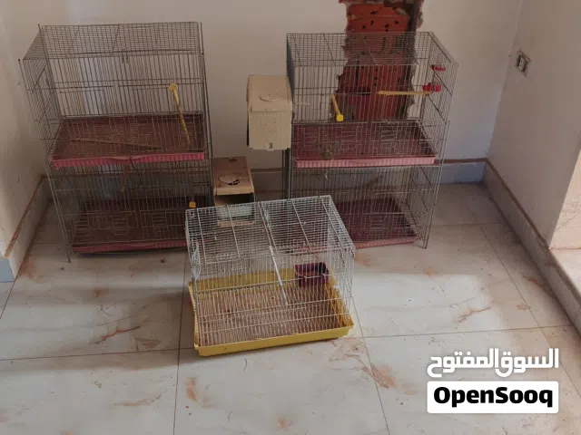 قفاص حضان للبيع
