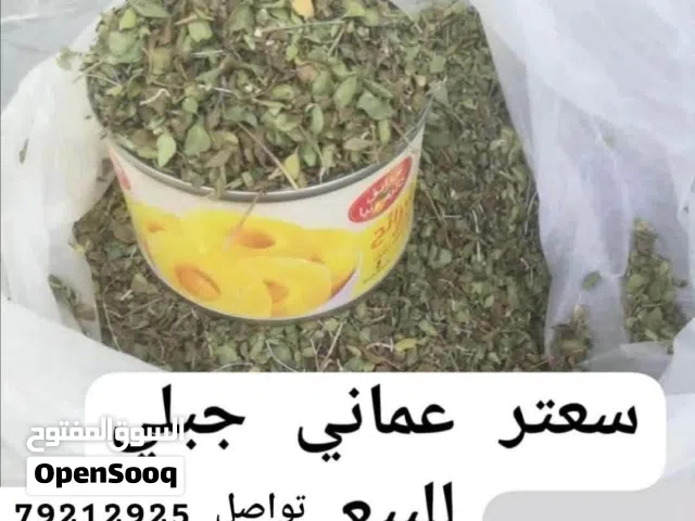 سعتر عماني جبلي