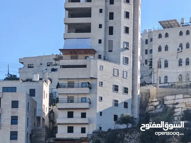 معاذ الحرباوي