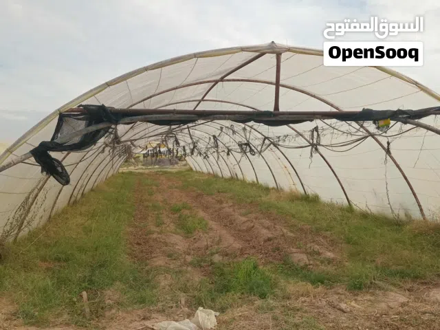 Farm Land for Sale in Jafara Other