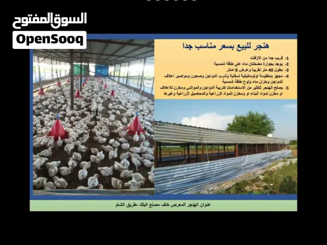 هنجر عرررررطه