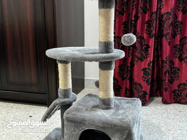 Cat Play House