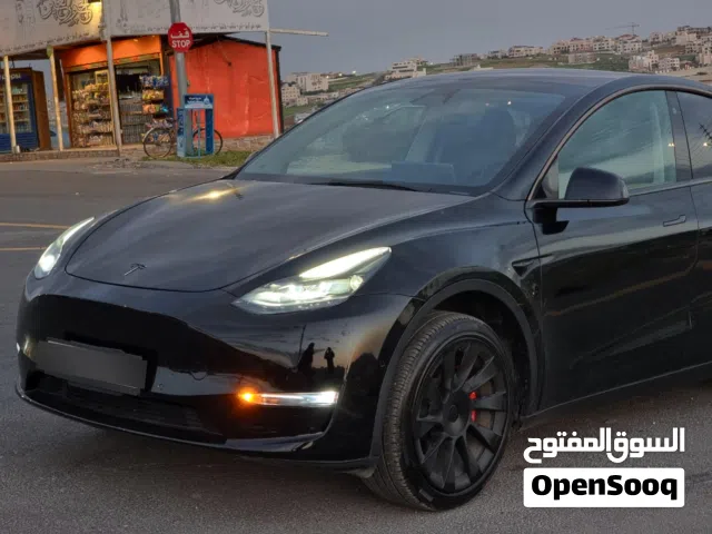 2021 تيسلا موديل Y Standard Range