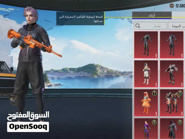 Pubg Accounts and Characters for Sale in Wasit