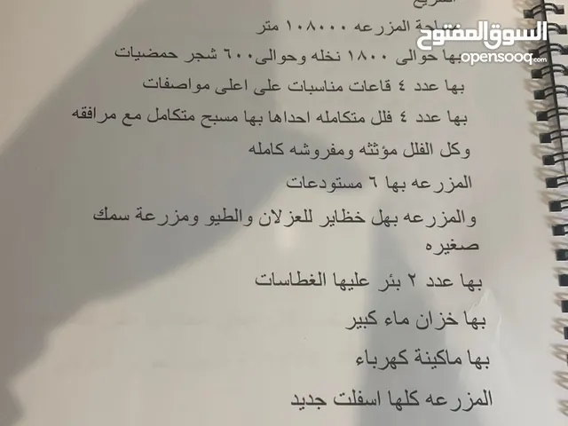 للبيع في الخرج على طريق القاعدة