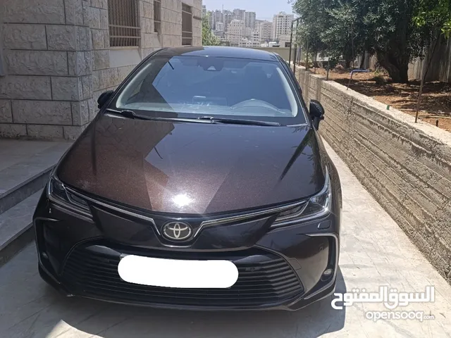 تيوتا كورولا