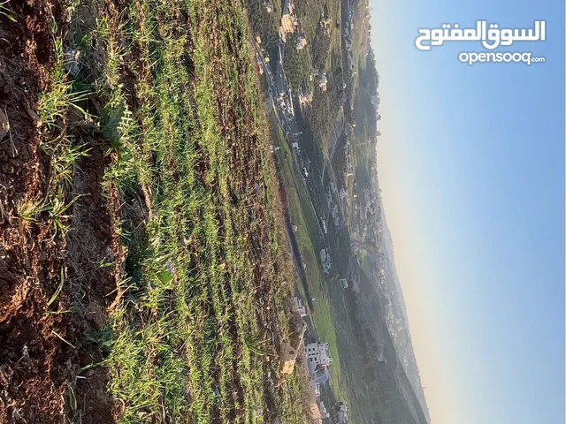 ( فرصة العُمر ) أجمل قطعة في منطقة ام رمانة في أجمل الاحياء السكنية في المنطقة ( منطقة قصور وفلل )