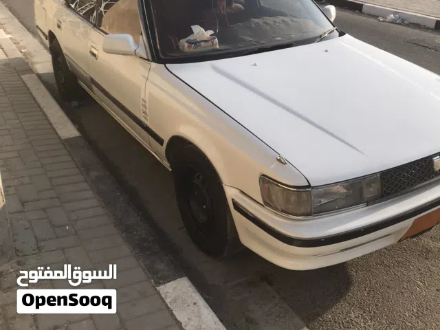 شيرز كصيف مديل 95 لون ابيض