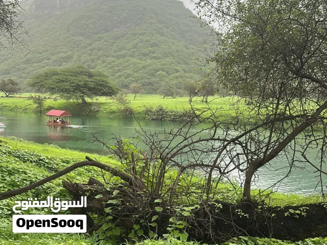 دليلك الخاص في صلالة Private Salalah Guide & Tours اسكتشف صلالة
