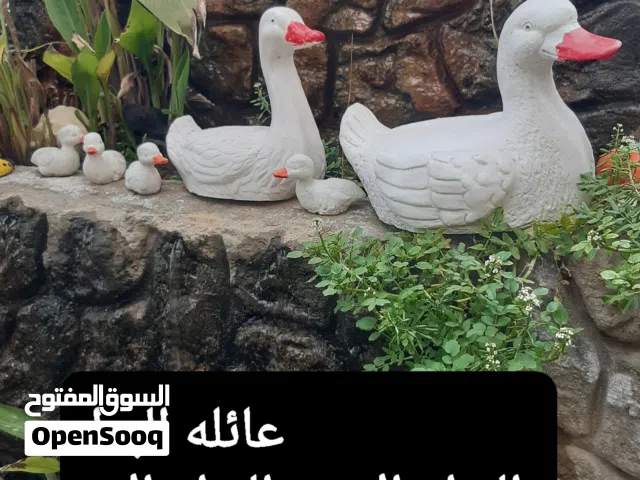 مجسمات لديكور المنازل والحدائف والمكاتب
