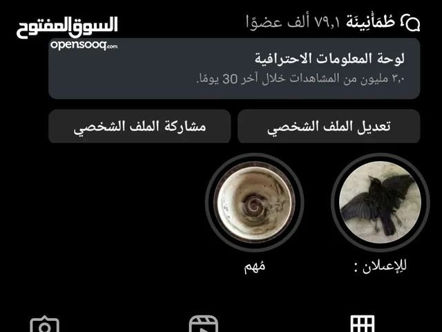 حساب انستجرام 800 الف