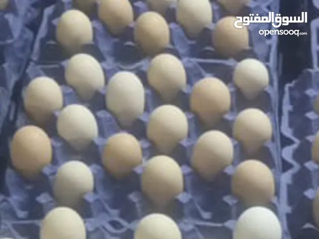 بيض صفارين