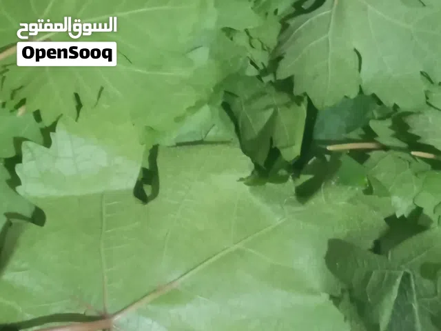 ورق عنب عجلوني طازج
