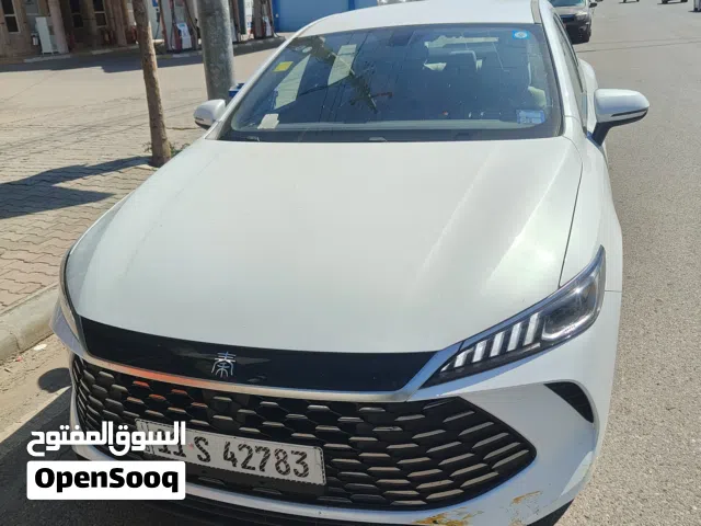 2025 بي واي دي كين