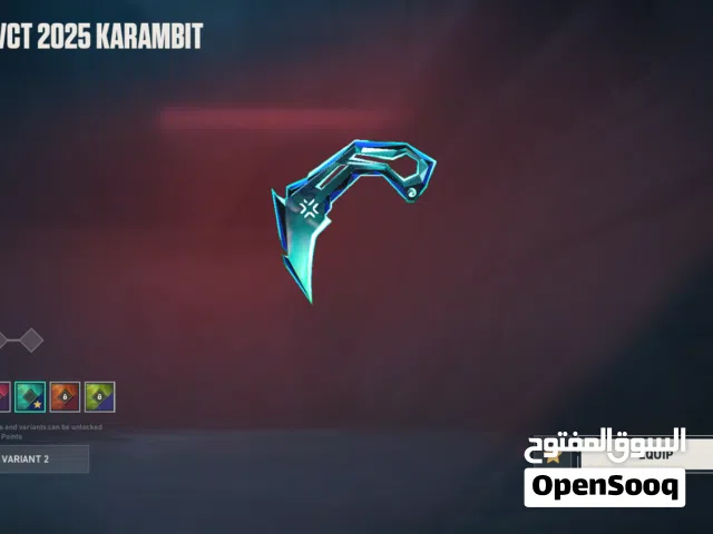 Valorant STACKED ACCOUNT (VCT)