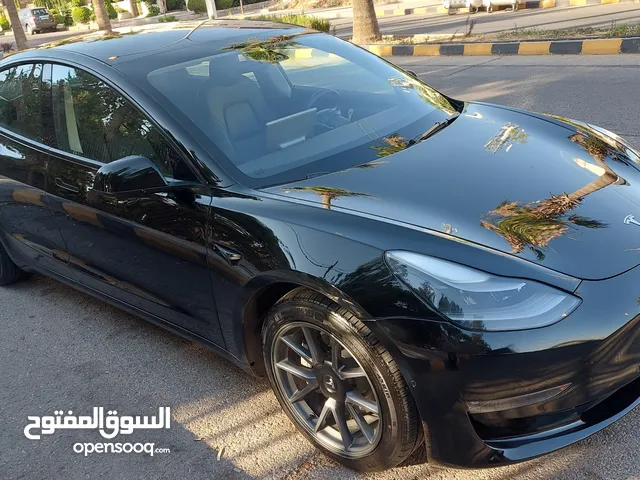 2022 Tesla Model 3 stander