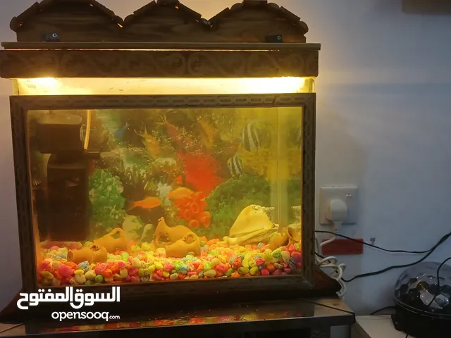 حوض حوت كامل للبيع