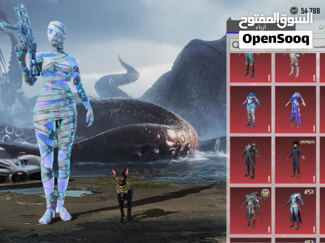 Pubg Accounts and Characters for Sale in Hebron