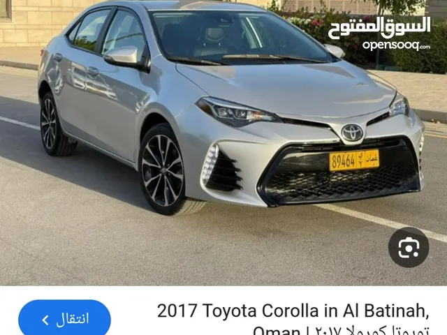 مطلوب مثل الرنجات17