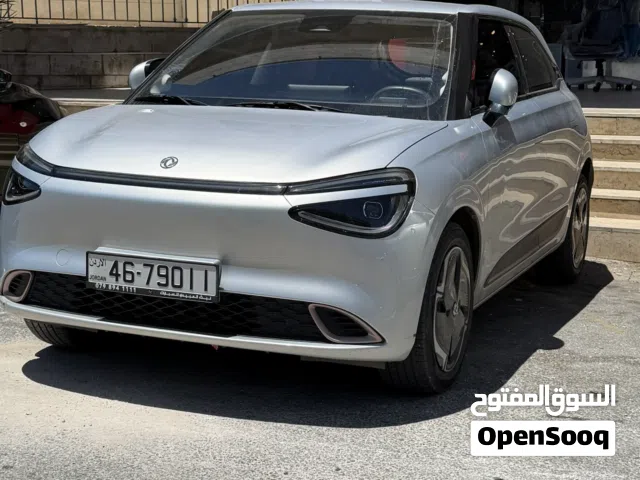 2025 Dongfeng Nammi Box