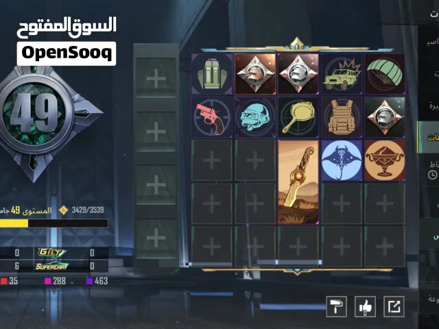 Pubg Accounts and Characters for Sale in Tripoli
