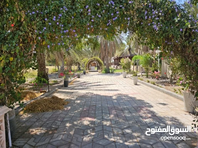 للبيع مزرعة جميلة و مميزة بقربها من الشارع وبمحتوياتها وأشجارها ونخيلها