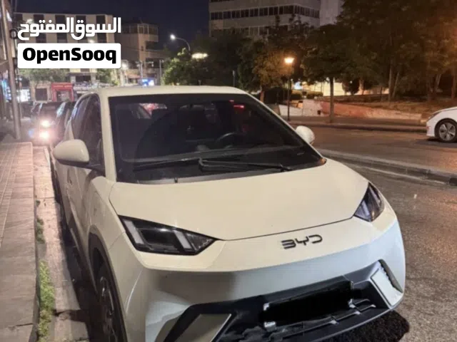 2024 بي واي دي سيجول