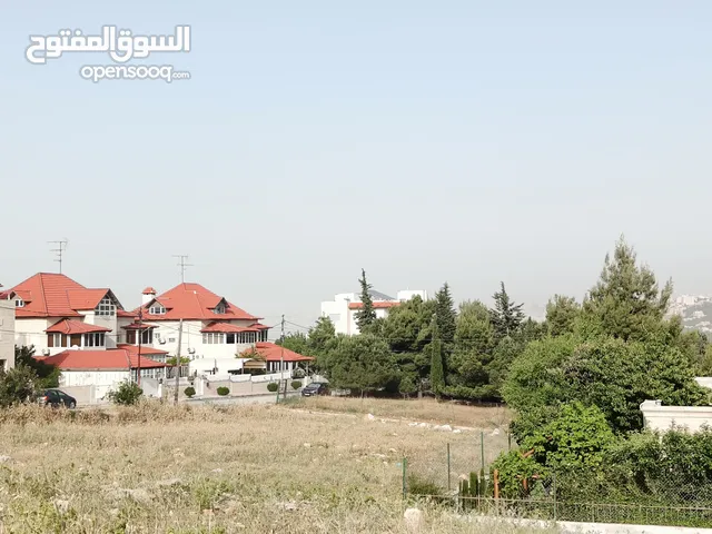 Residential Land for Sale in Amman As Sarou