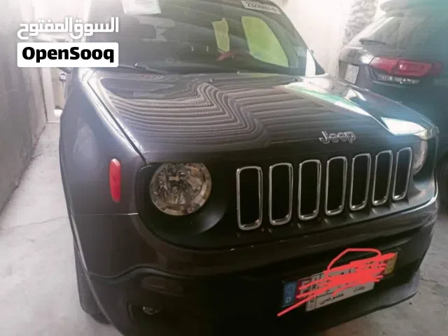 2018 جيب رينيجادى Sport