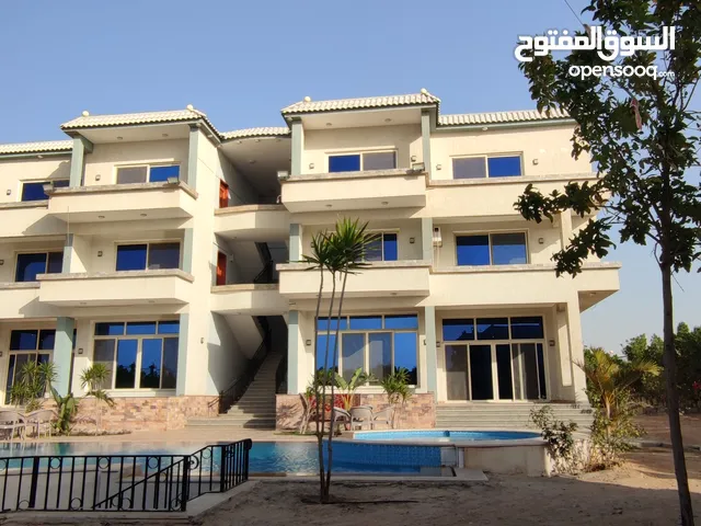 900 m2 5 Bedrooms Villa for Rent in Giza Other