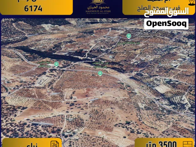 Farm Land for Sale in Salt Um Jozeh