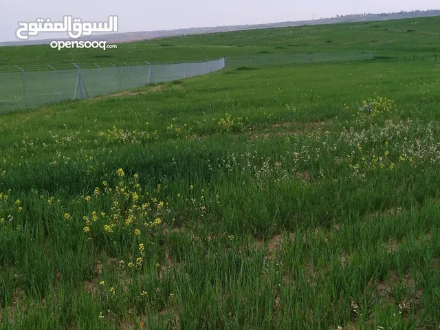 Farm Land for Sale in Madaba Al-Zafaran