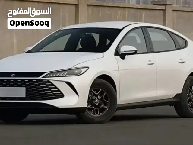 2026 بي واي دي كين