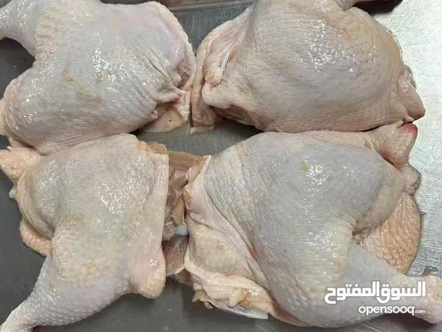 تورید و بیع اجود انواع صدور الدجاج و افخاد الدجاج من الصین