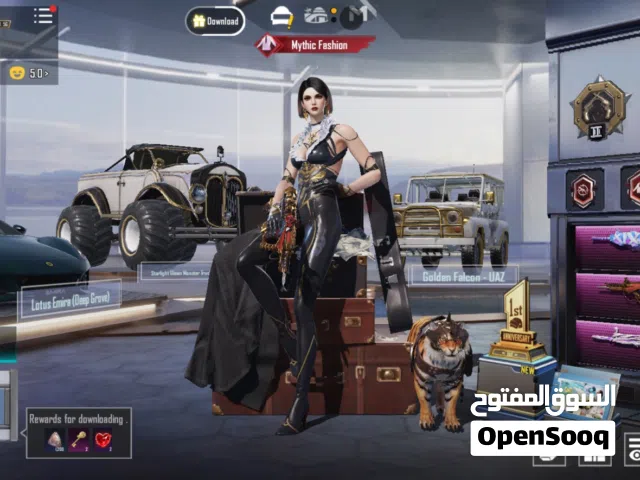 Pubg Accounts and Characters for Sale in Dakahlia