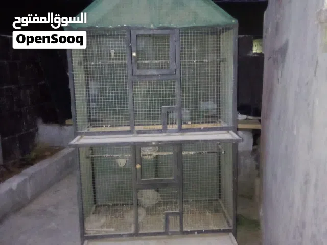 مطير تفصيل للبيع