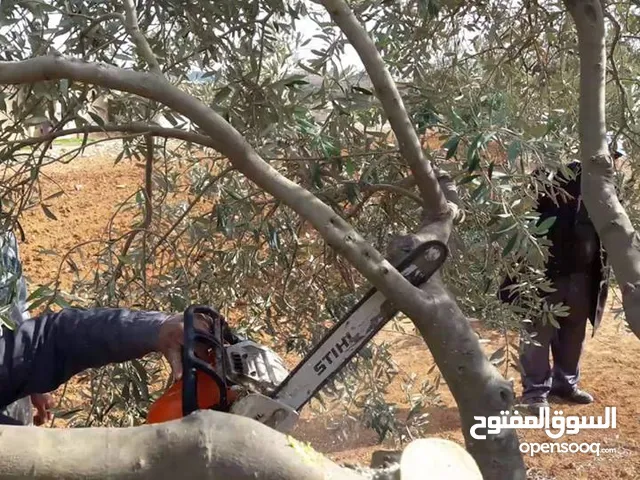 قص ونشر جميع انواع الخشب